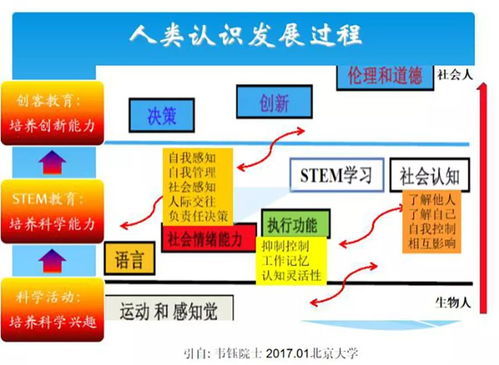 人工智能的浪潮 基础软件开发及其在科学教育中的革新应用